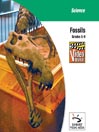 Fossils Video Quiz